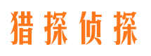 大安侦探公司